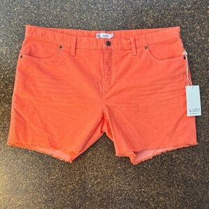 NWT Carve Designs Bright Orange Denim Shorts